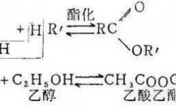 白酒过程方程式（白酒反应方程式）