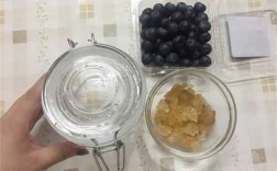 蓝莓发酵过程（蓝莓发酵过程图片）