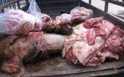 死猪肉加工过程（死猪肉视频）