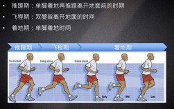 跑步指挥的过程（跑步指导视频）