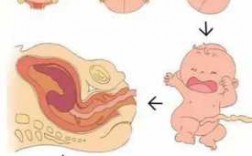 正常分娩的过程分（正常分娩过程包括哪三个阶段）