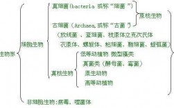 微生化过程（生化处理微生物种类）