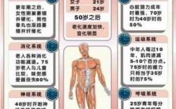 人体衰老过程图（人体衰老表现在哪些特征）