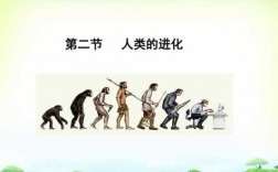 人类的进化过程ppt（人类的进化过程PPT）