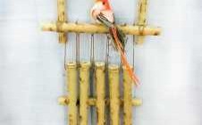 竹鸟的发明过程（竹子的发明）