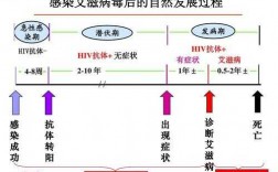 hiv临床感染过程（hiv临床感染过程图）