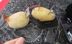 土豆发电的过程（土豆发电实验视频）