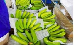 香蕉装车过程（香蕉装箱的步骤）
