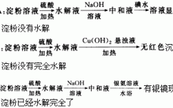 淀粉醇解过程（淀粉水解流程图）