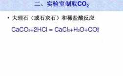 hclcaco3过程（hcl与caco3反应现象）
