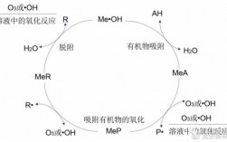 臭氧产生羟基的过程（臭氧产生羟基的过程图）