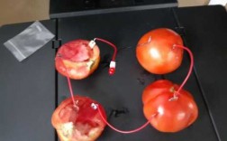 西红柿电池实验过程（西红柿电池实验现象）