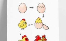 鸡的变化过程图片（鸡的变化是什么）