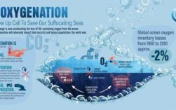 海水硝化过程（海水硝化过程视频）