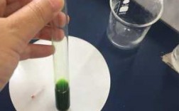 提取色素实验过程（提取色素实验过程图片）