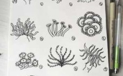 画珊瑚过程（如何画珊瑚?）