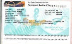 新西兰签证体检过程（新西兰签证办理需要多长时间）