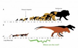 恐龙的发育过程（恐龙的发育过程图）