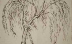 柳树绘画过程（柳树绘画作品）