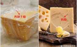 奶酪发酵过程（奶酪发酵过程步骤）