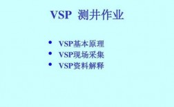 vsp测井过程（vsp测井是什么意思）