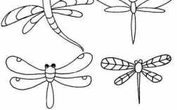 蜻蜓长大的过程图片（蜻蜓长大的过程图片简笔画）