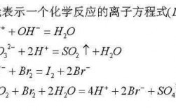 中和过程离子方程（用离子方程表征中和反应的本质）