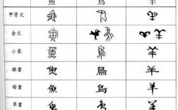 中国汉字演化过程（中国汉字的演变趋势）