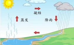 雨形成的过程卡通（雨形成的过程图画）