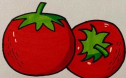 画西红柿的过程（一步一步教画西红柿）
