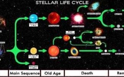 恒星的演化过程（恒星的演化过程示意图）