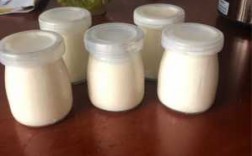 制作酸奶过程（乳酸菌发酵制作酸奶过程）