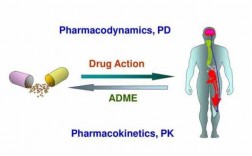 试述药物ADME过程（药物adr是指在以下情况下产生的反应）