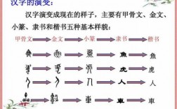 汉字的演变过程200字（汉字的演变过程两百字）