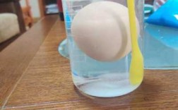 水中浮蛋实验过程（水中浮蛋实验过程视频）