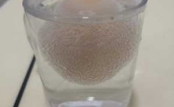 鸡蛋泡盐水实验过程（鸡蛋泡盐水实验过程图片）
