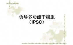 ipsc细胞重编码过程（ips细胞再生）