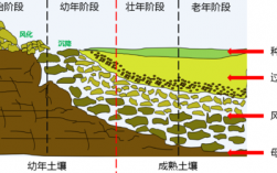 图示土壤形成过程（土壤的形成过程说明）