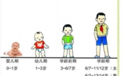 幼儿体型成长过程（幼儿体格生长发育的特点）