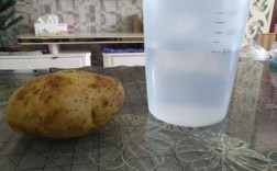 土豆的测量过程（测量土豆的体积的过程教案图片）