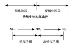 硝化过程（硝化过程和反硝化过程）