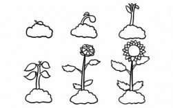 植物变化过程简易图（植物变化图片 简笔画）