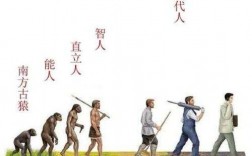 人的进化过程搞笑（人的进化史是怎样的视频）