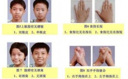 双手协调实验的过程（双手协调性实验报告）