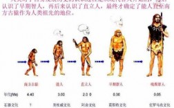 人类穿衣过程（人类穿衣进化图）
