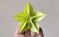 杨桃花折纸过程（杨桃花怎么叠）