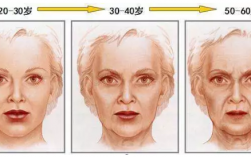人脸衰老的过程（人体面部衰老的过程）