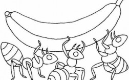 蚂蚁搬食物过程图片（蚂蚁搬食物过程图片简笔画）