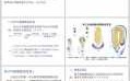 合子植物胚发育过程（合子植物胚发育过程图片）