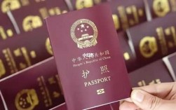 办护照过程（办护照过程要多久）